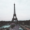 lady-blueberry avatar