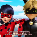 ladybug-x-chatnoir avatar