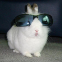 lagomorphaa avatar