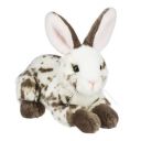 lagomorphologies avatar