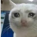 lakeshorediving avatar