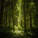 lalapis-lazuli avatar