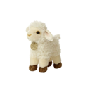 lambs-co11ection avatar