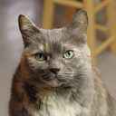 landlockedmarina avatar