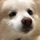 late-to-the-fun avatar