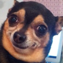 latinagurl737 avatar