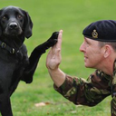 lauren-barajas avatar