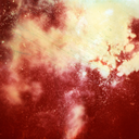 laurenshieldsphotographer avatar