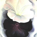 laurentcarteras avatar