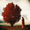 laviebellephant avatar