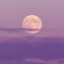 laylalovelies avatar