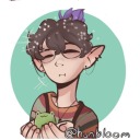 lazydragonfish avatar