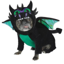 lazydragonwerewolf avatar