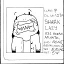 lazysharkart avatar