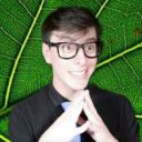 leafy-autistics avatar