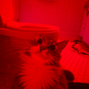 leahsilverstein avatar