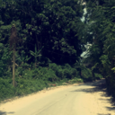 learningrecovery avatar