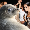 learnmesomeshit-blog avatar