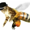 leathercatbee avatar