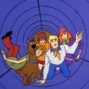 leave-thebirds-untroubled avatar