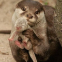 leavethelightsonplease-blog avatar