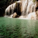 lecter-starling avatar