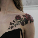 leftgladiatordestiny avatar