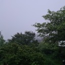 legalizememes avatar