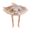 leggy-fish avatar