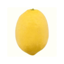 lemon-the-zesty avatar