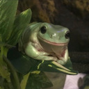 lemonabouttodrop avatar