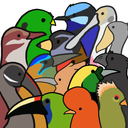 lemonsareplaid-blog1 avatar