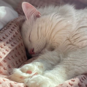 lemonsqueeziespoon avatar