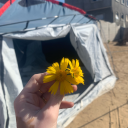 lendaabdalhadi avatar