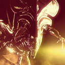 lepetitmonstre3 avatar