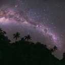 lesbian-lipstick avatar