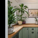 lesbiandotorg avatar