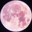 lesbicosmos-writes avatar