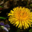 lessergoodnow avatar