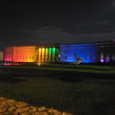 lethargicnarwhal avatar