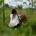 lethean-river avatar