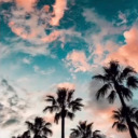 lets-fly-awxy avatar