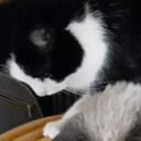 letsgetsstuff avatar