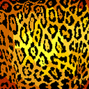 lettersdelhero avatar