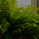 levi-unpacks-purity-culture avatar