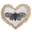 lexasimsverse avatar