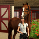 lexingtonstud avatar