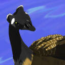 libraryofshark avatar