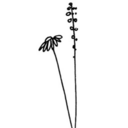 liebes--angst avatar