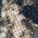 lies-behind-truth-blog avatar